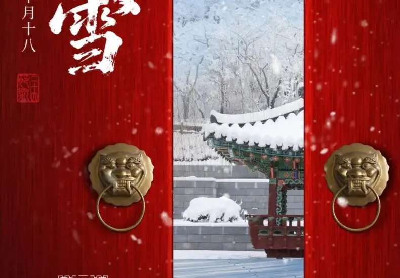 張鈞甯：影視圈的全方位才女