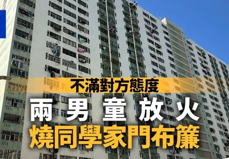 梨木樹 23 的更新與影響