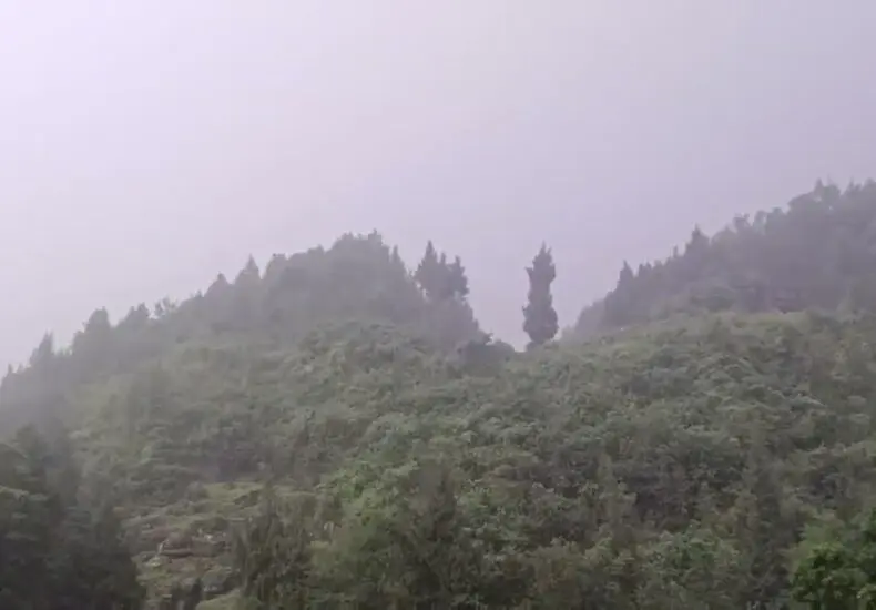 下雨的影響與應對措施