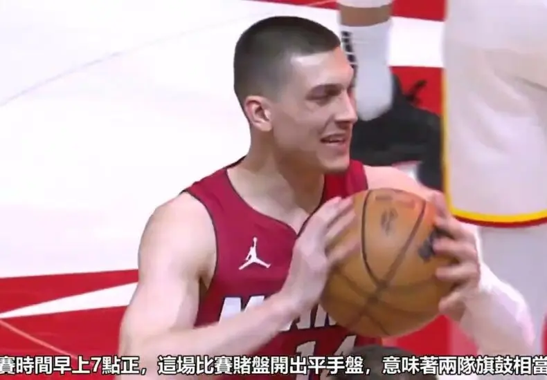 灰熊與老鷹之間的生態互動