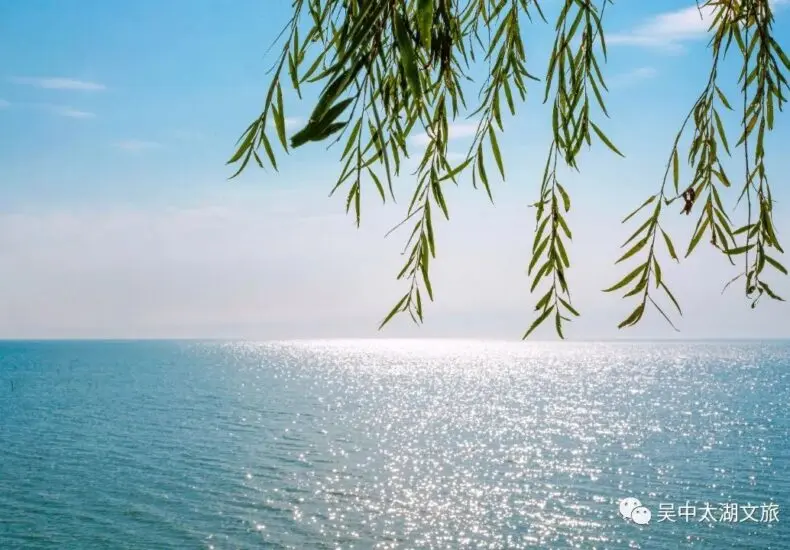 湖人隊最新賽季表現與前景分析