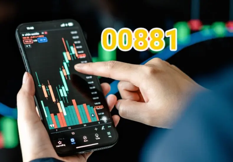 00881 公司業績報告分析