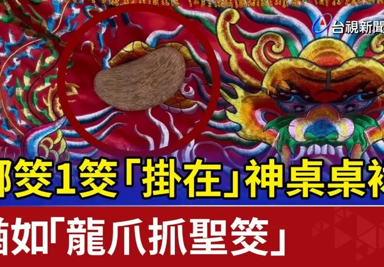 最新的天氣報告與預測