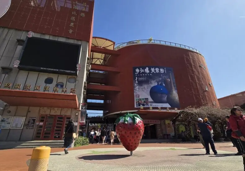 公鹿對鵜鶘的精彩比賽回顧