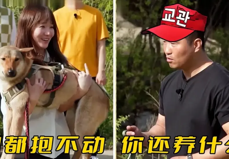 漢克訓犬 — TW news