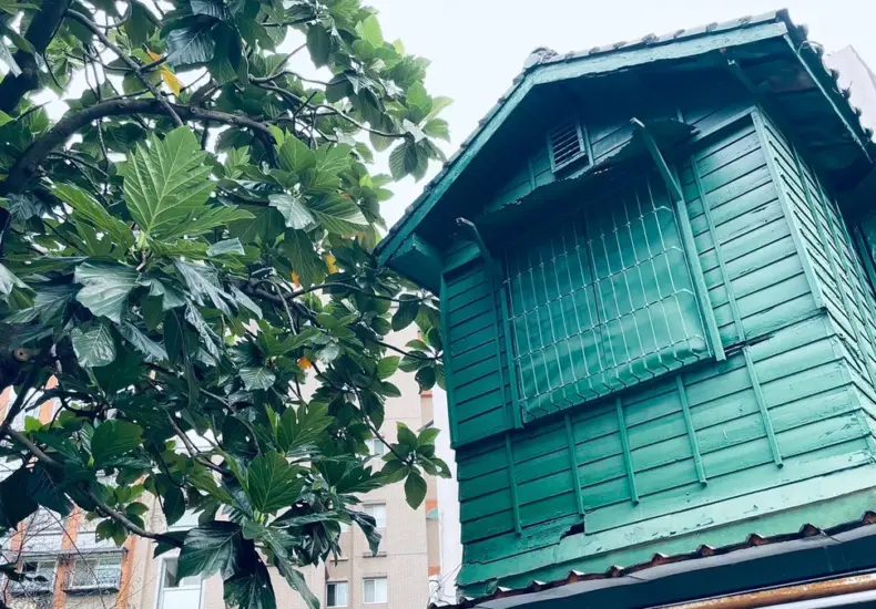 景美 — TW news