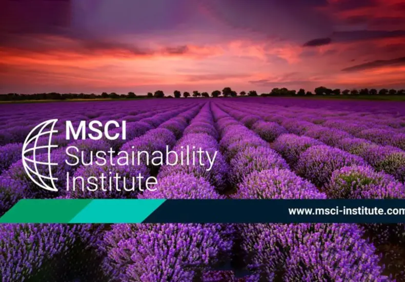 msci — TW news