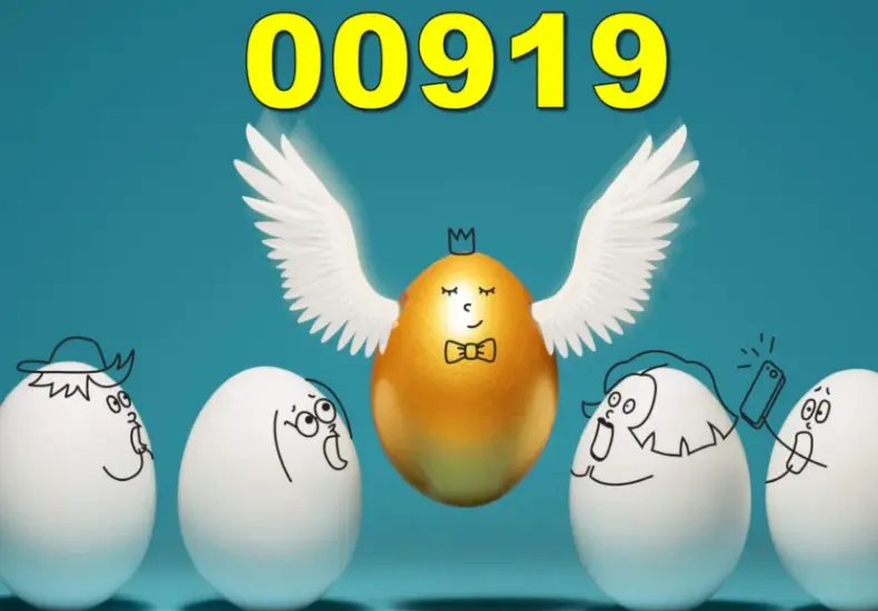 00919 除息日 — TW news