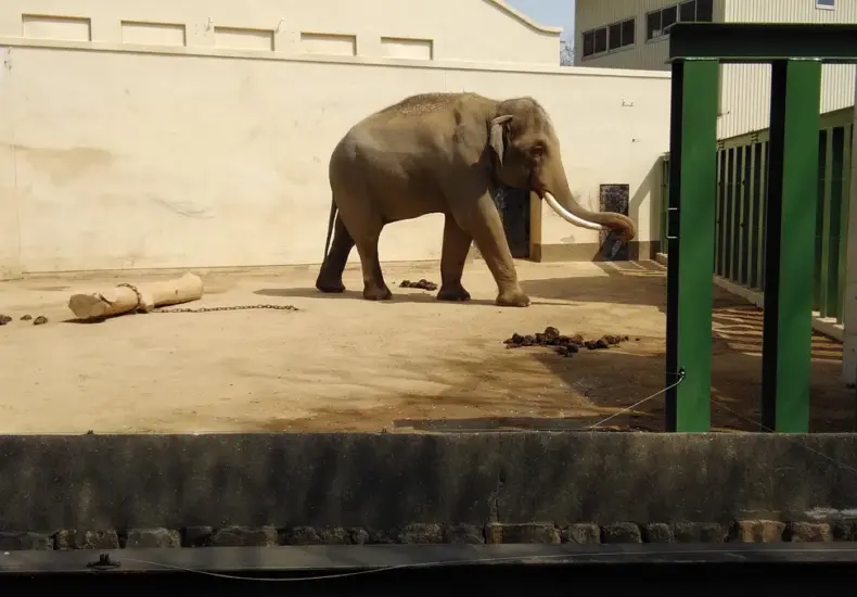 動物園 — TW news