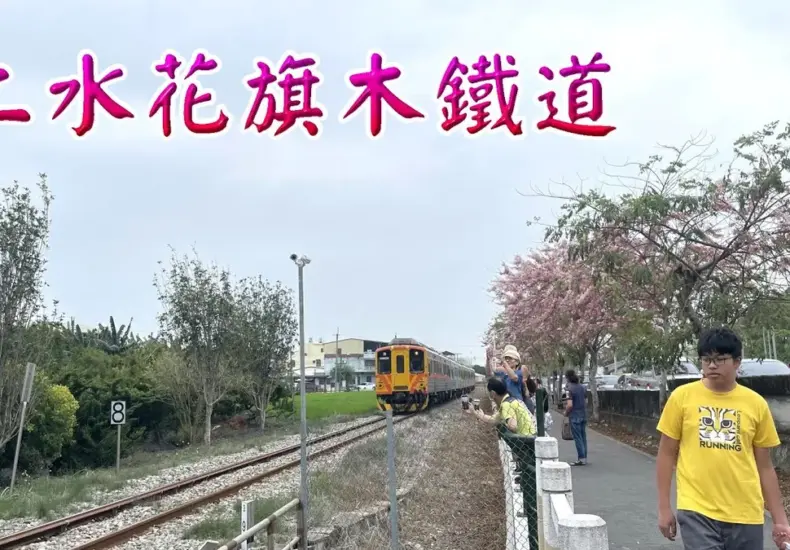 二水花旗木 — TW news