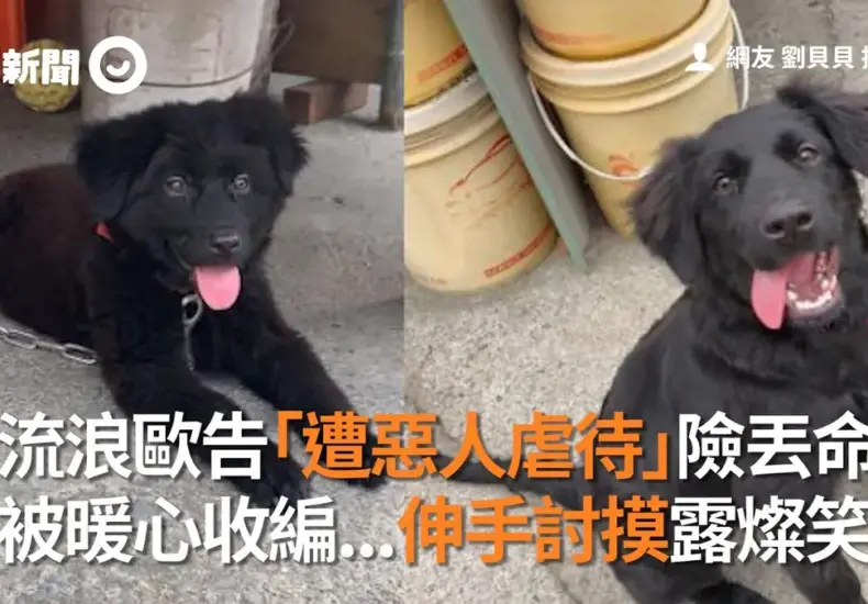 歐告 — TW news