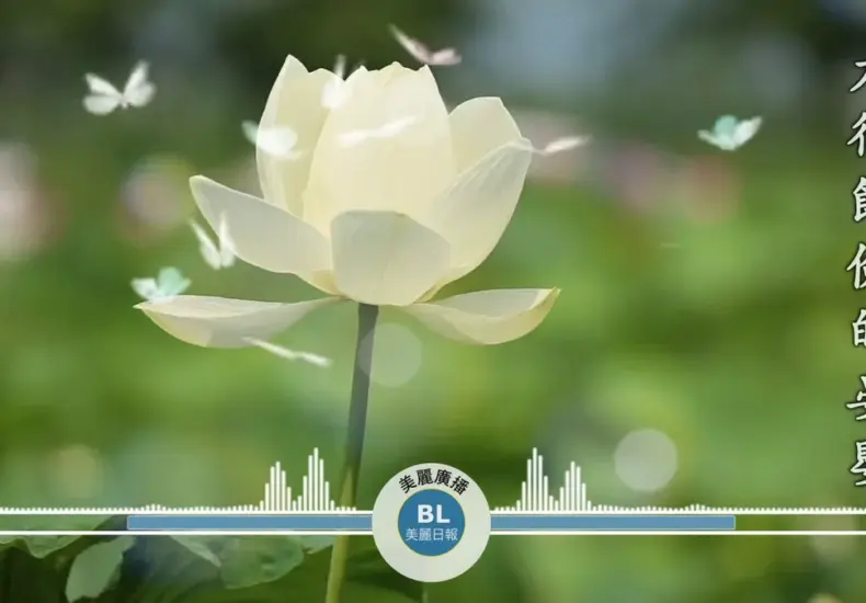 節儉 — TW news