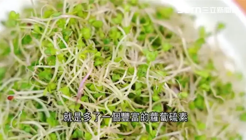 塑 化 劑 — TW news