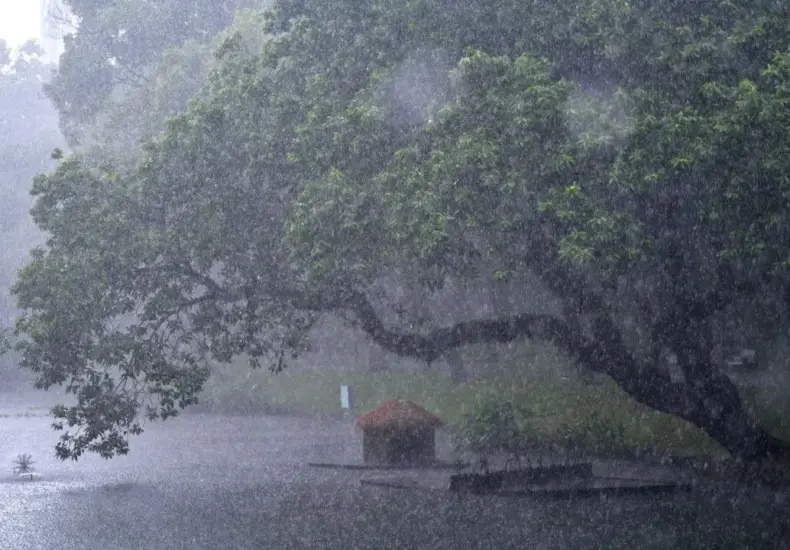 暴雨 — TW news