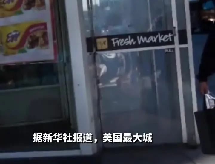 台北 鼠 患 — TW news