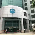 玉山 金 — TW news